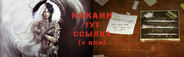 тгк Армянск