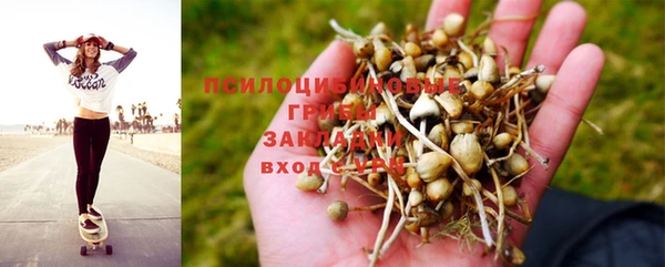 а пвп мука Баксан