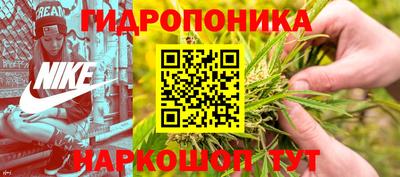 молекула духа Ливны