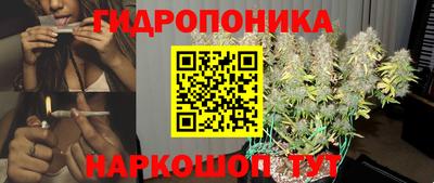 молекула духа Ливны